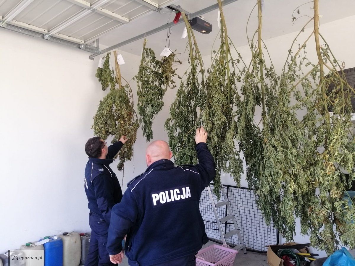 fot. policja