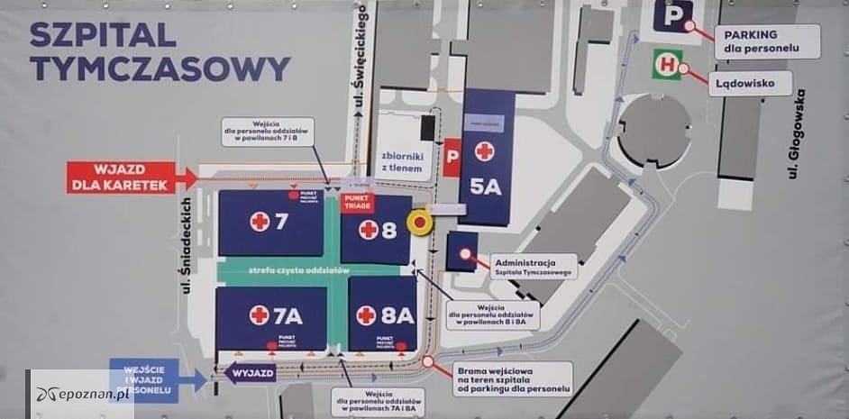 fot. WUW Poznań