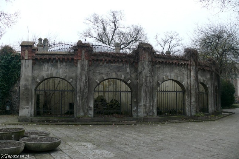 fot. Elżbieta Skowron