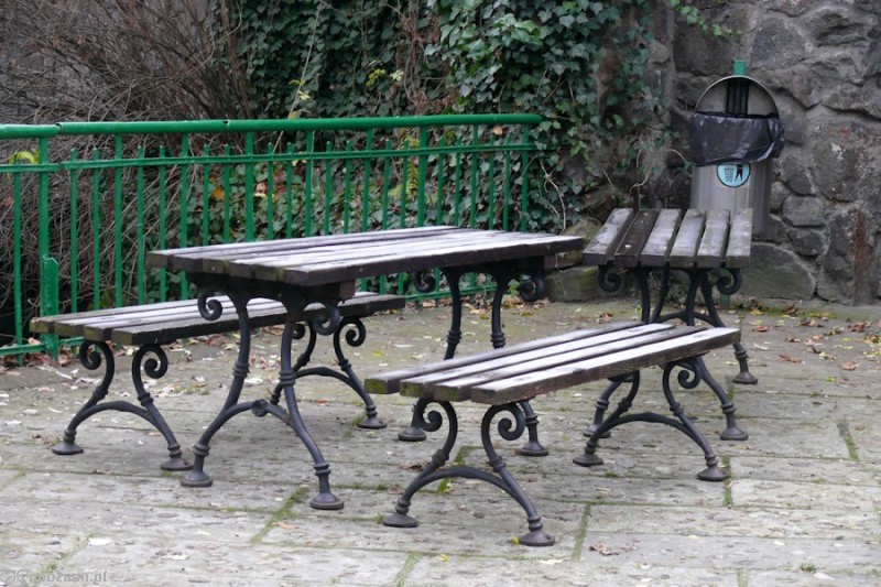 fot. Elżbieta Skowron