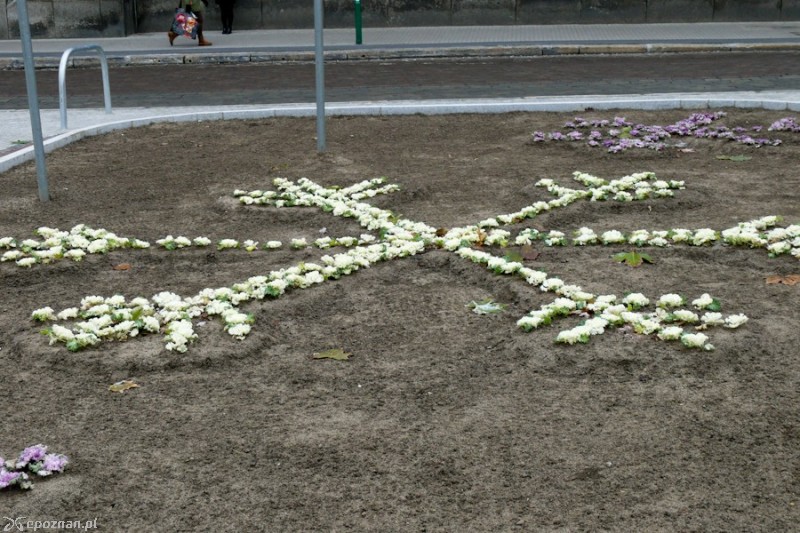 fot. Elżbieta Skowron