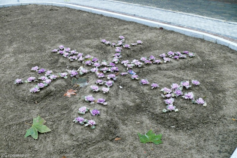 fot. Elżbieta Skowron