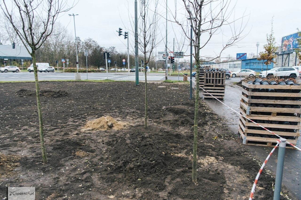 fot. UM Poznań
