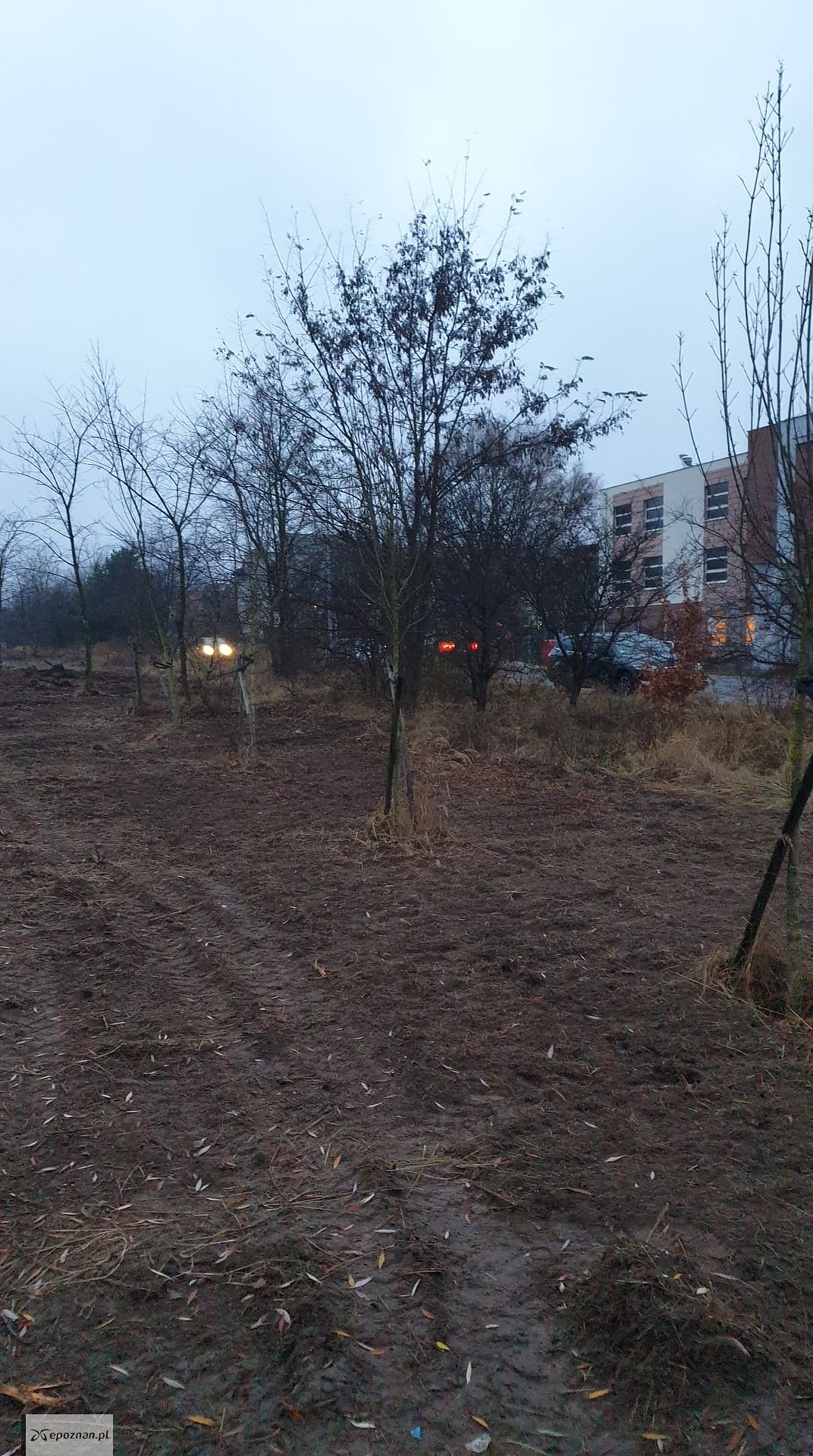 Trwające prace | fot. ZZM