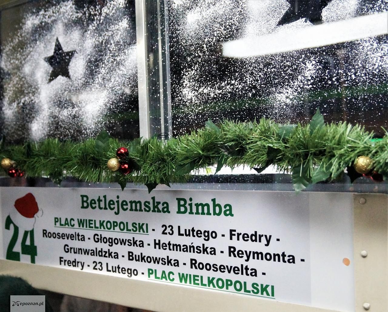 Betlejemska Bimba kurusje od weekendu | fot. Włodzimierz Hoppel