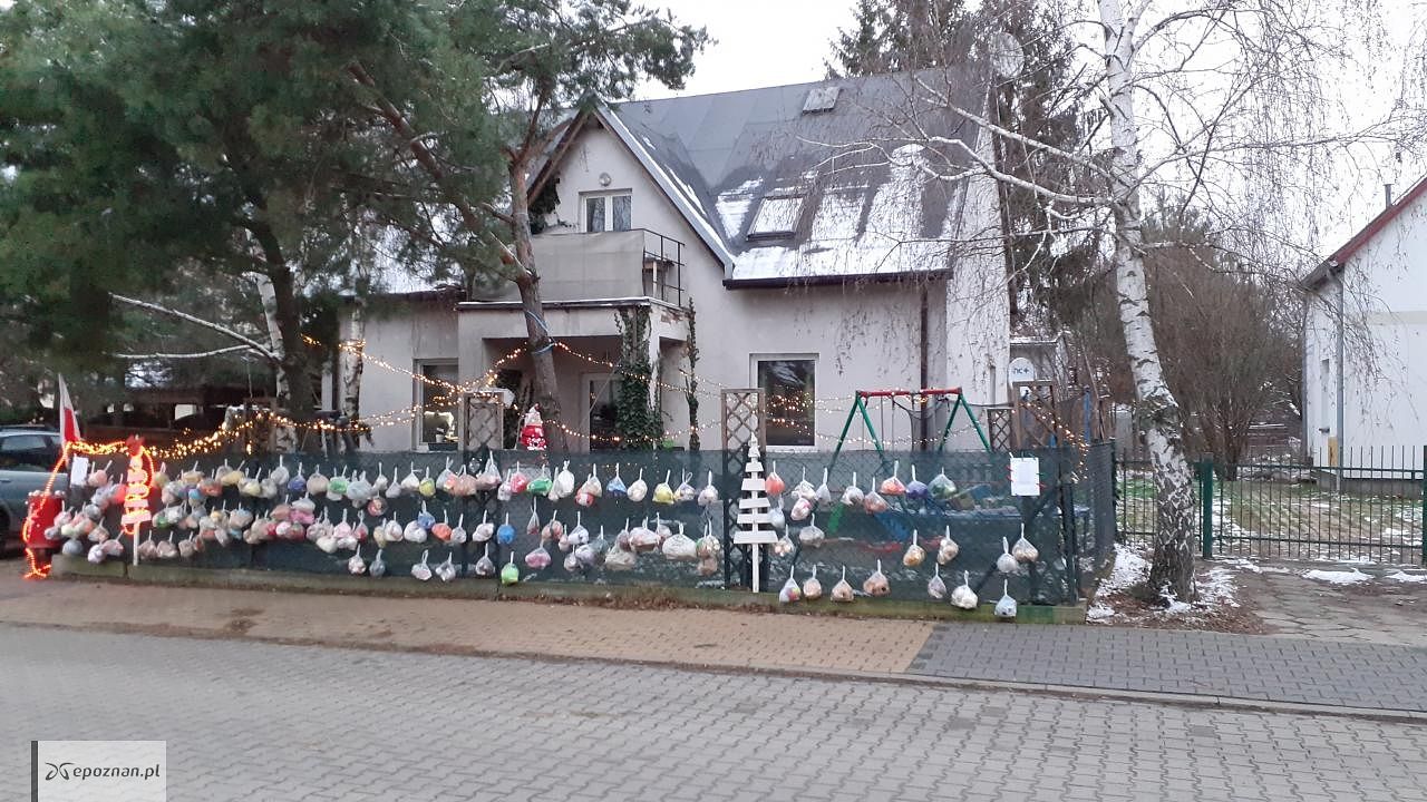 fot. Renata Winczewska