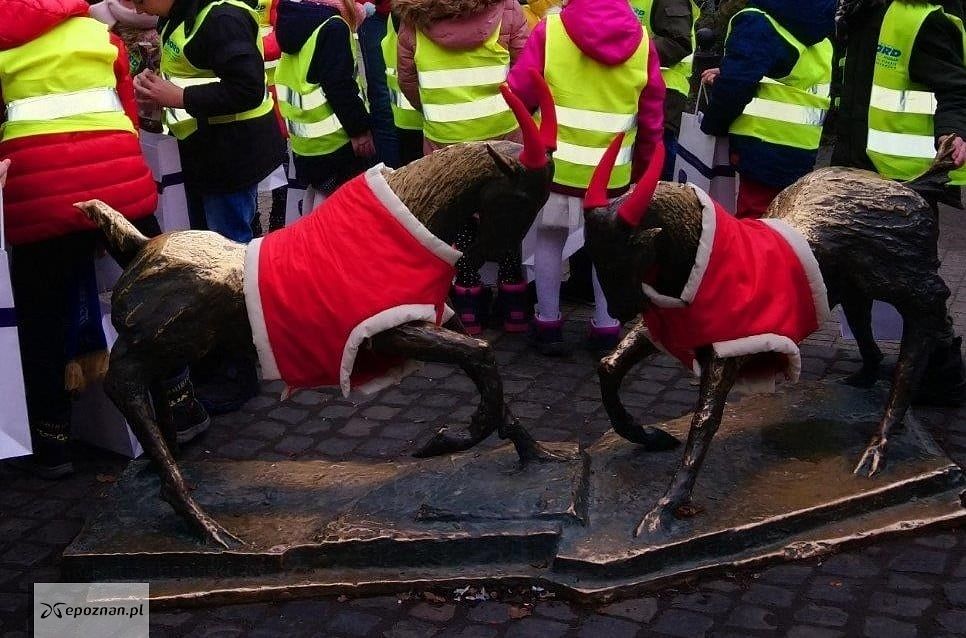fot. Straż Miejska w Poznaniu