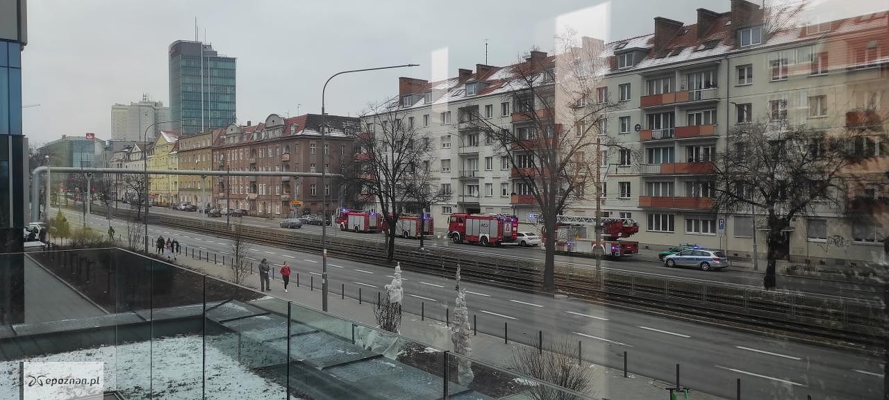 fot. Czytelniczka