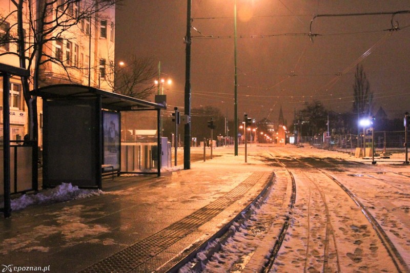 fot. Elżbieta Skowron