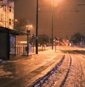fot. Elżbieta Skowron