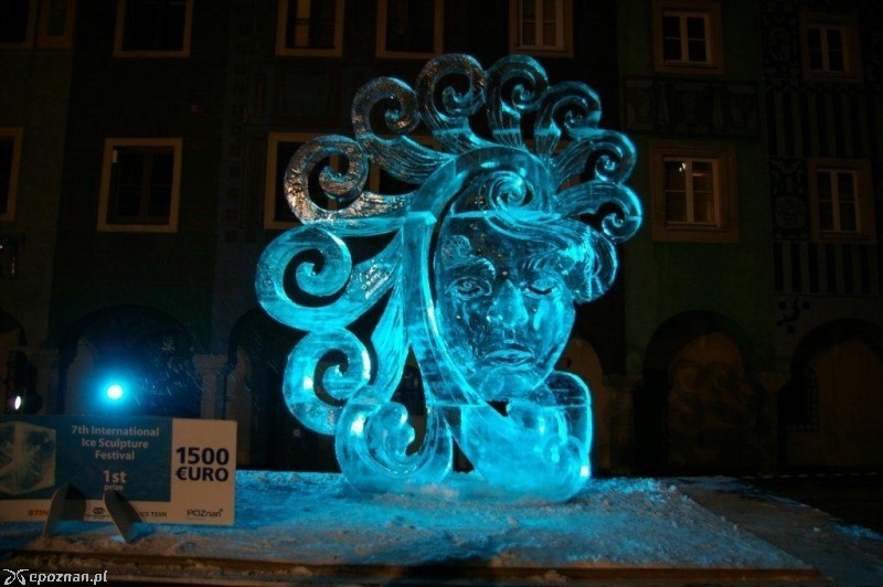 fot. Andrzej Trzmiel