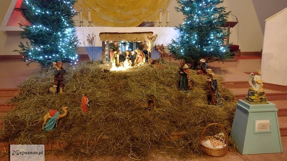 fot. Czytelniczka