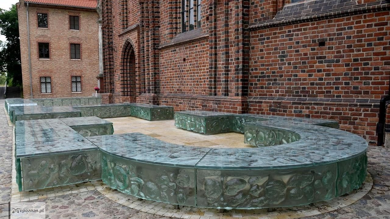 fot. UM Poznań