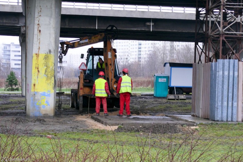 fot. Elżbieta Skowron