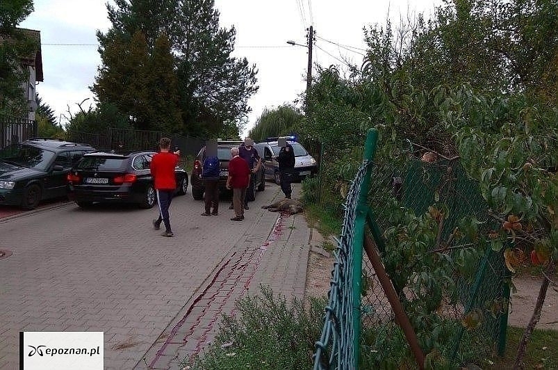 Zdjęcie z 2018 roku | fot. Czytelnik