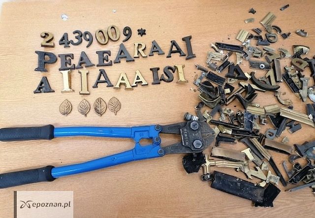 fot. policja