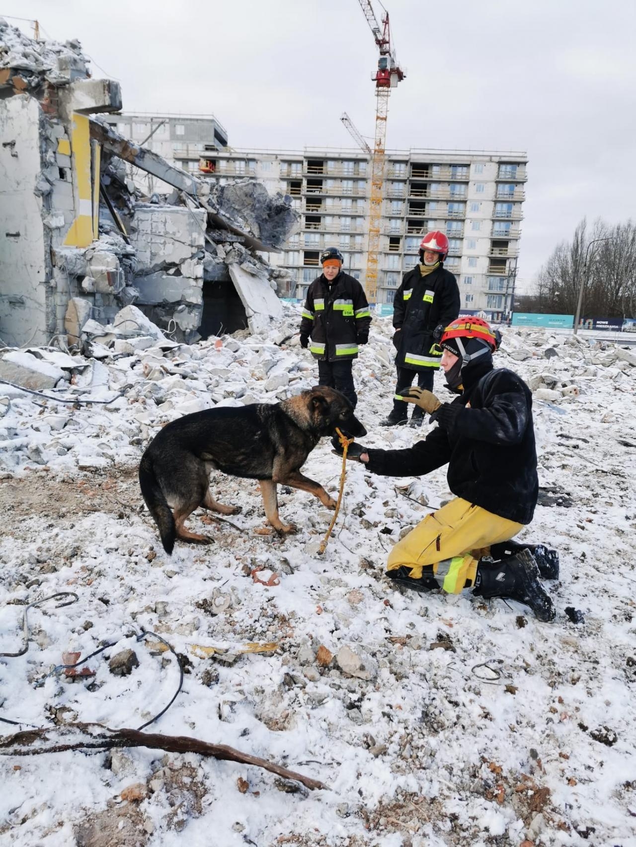 fot. Grupa Ratownictwa Specjalistycznego - OSP Poznań FB