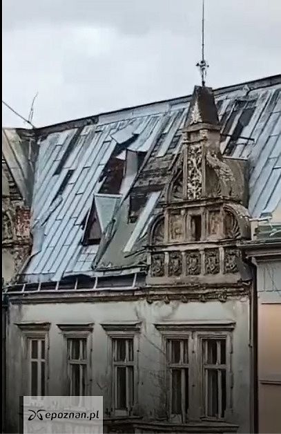 fot. Michał