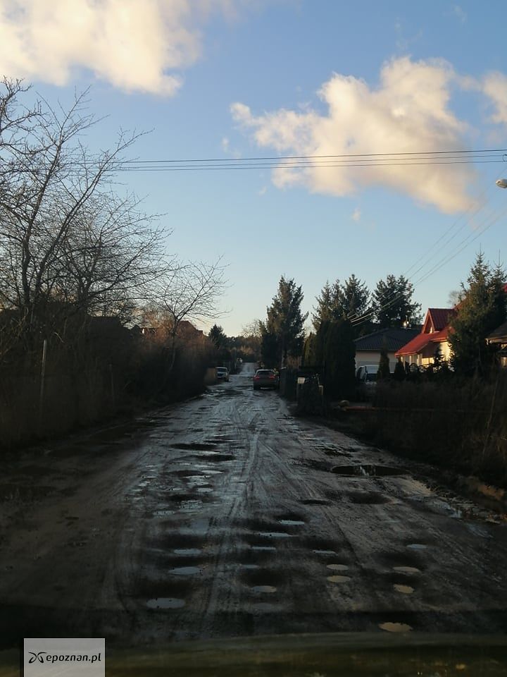 Morasko | fot. Małgorzata