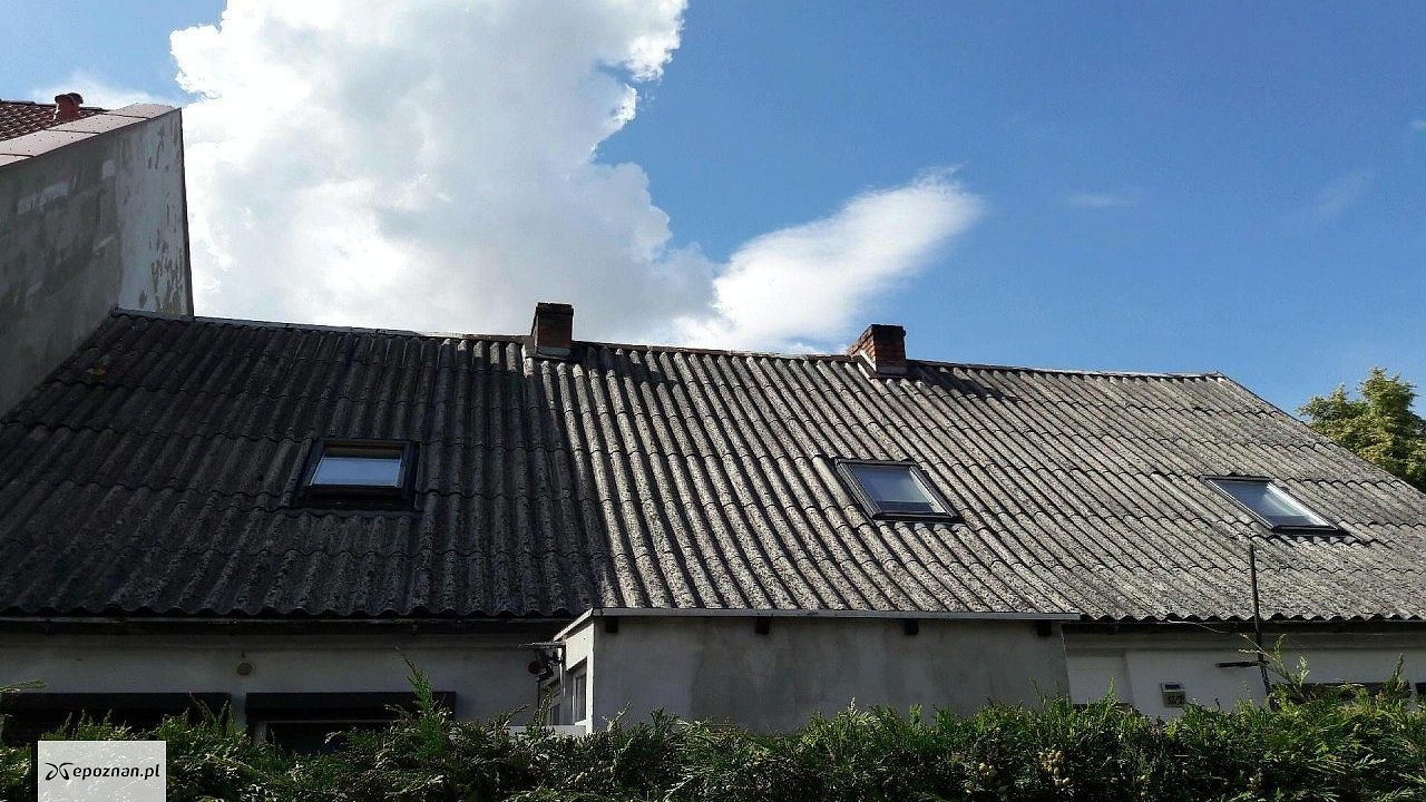 fot. UM Poznań