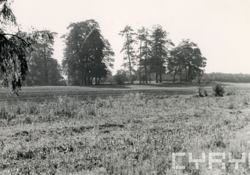Chartowo jeszcze przed zabudową | fot. Iwona Goryńska / Muzeum Historii Miasta Poznania / Cyryl