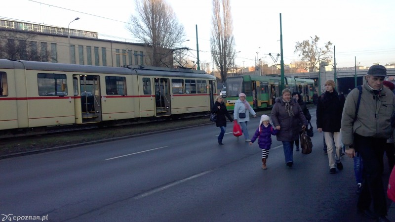 fot. Maciej