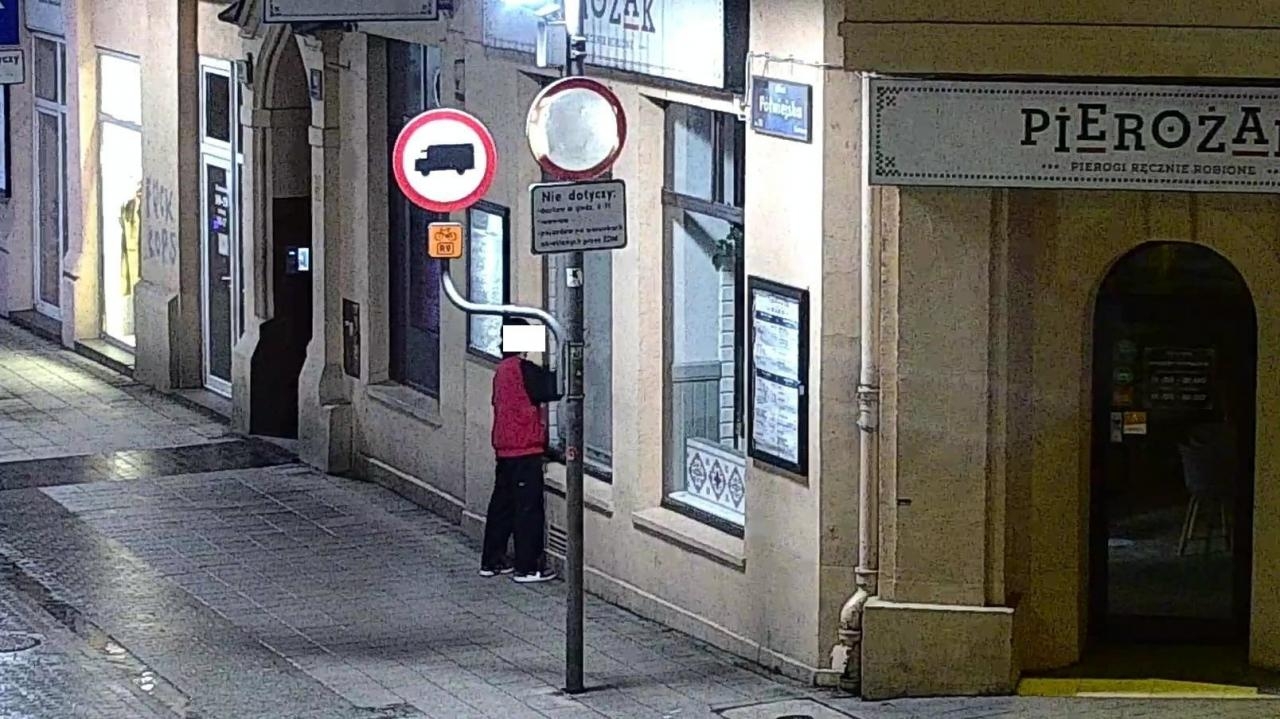 fot. Straż miejska