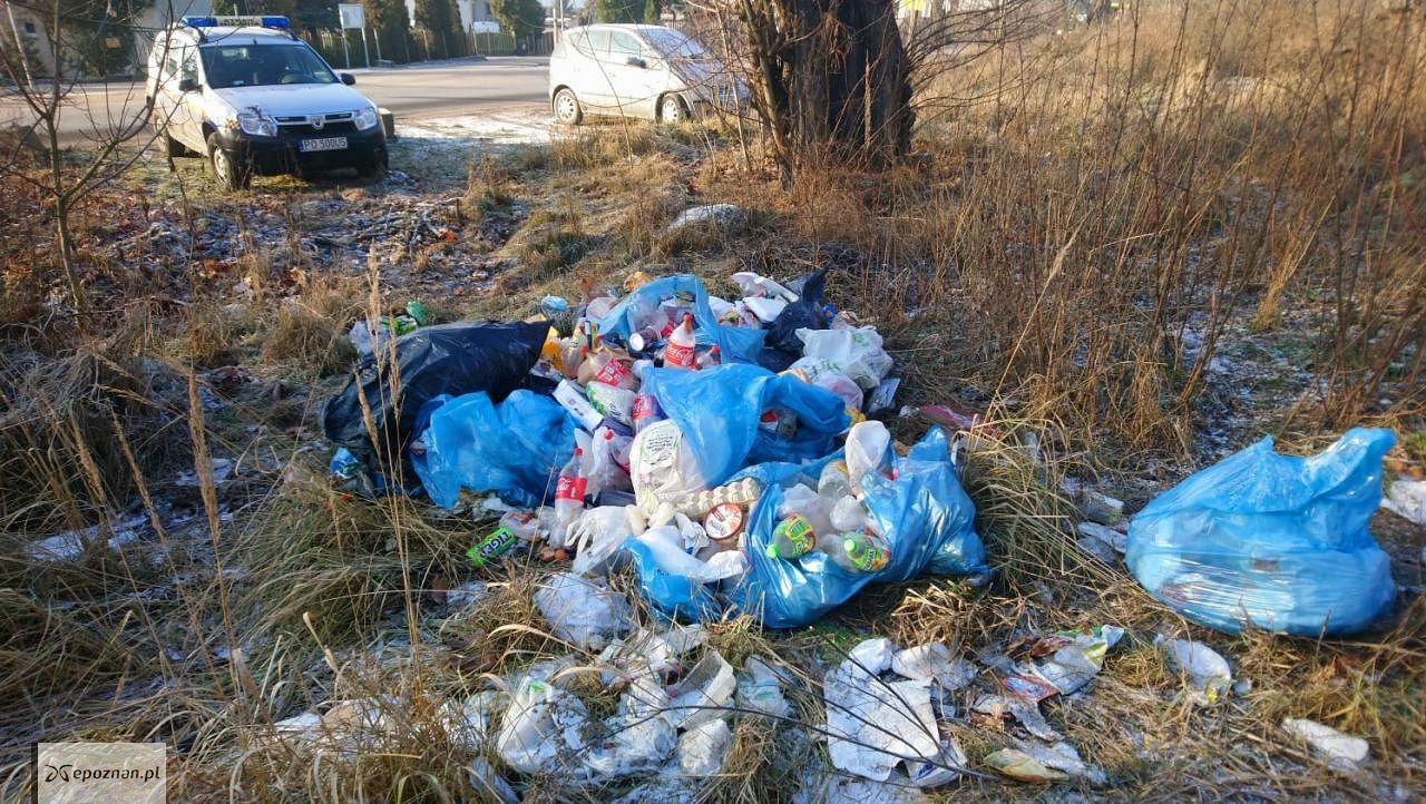 fot. Straż miejska