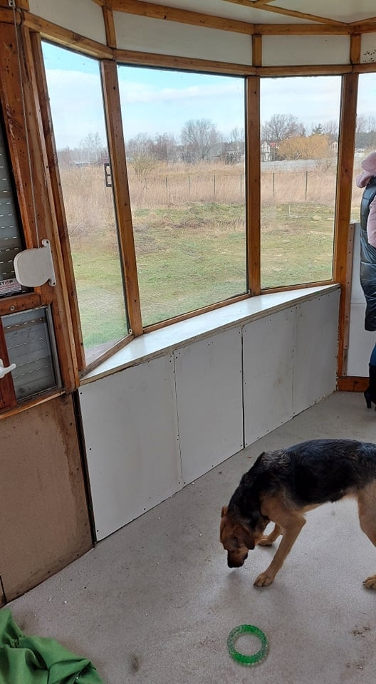 fot. Fundacja Mondo Cane