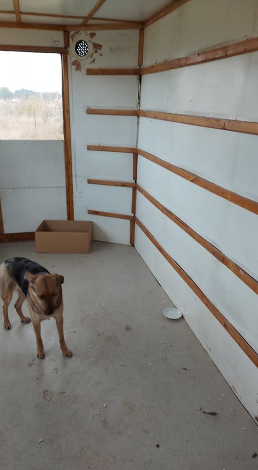 fot. Fundacja Mondo Cane
