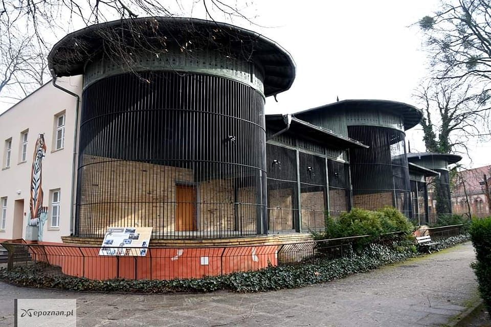 fot. Stare ZOO Poznań Official Site