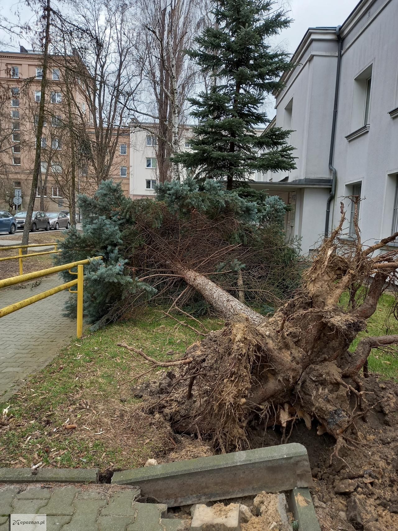 fot. Czytelniczka