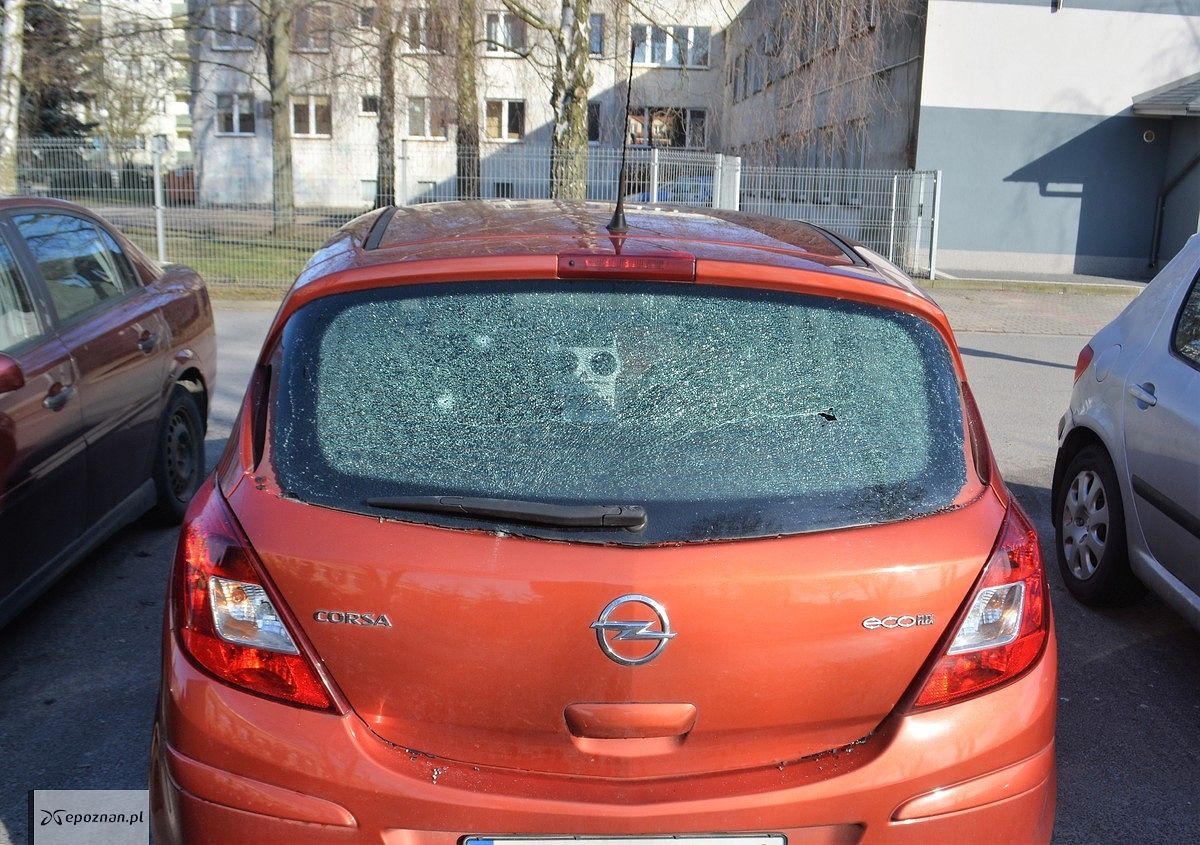 fot. policja