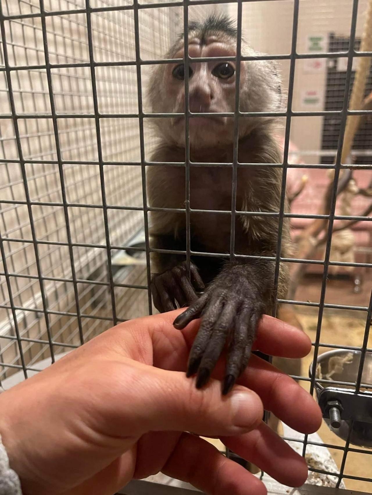 fot. ZOO Poznań Official / Facebook