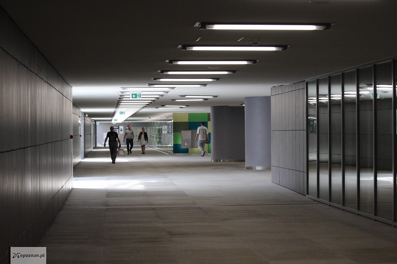 fot. Jędrzej Gerwel / archiwum