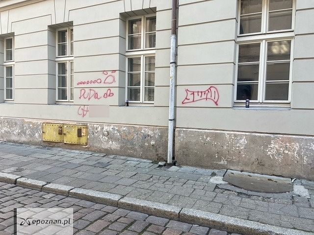 fot. Straż miejska