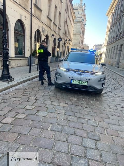 fot. Straż miejska