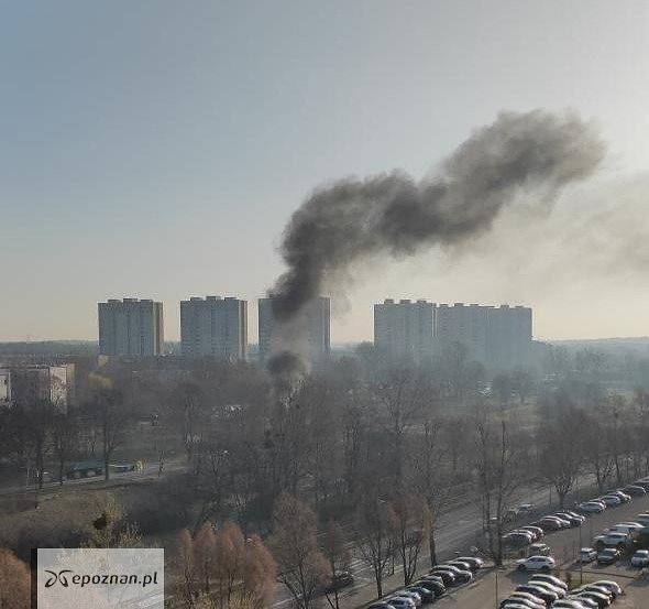 fot. Czytelnik