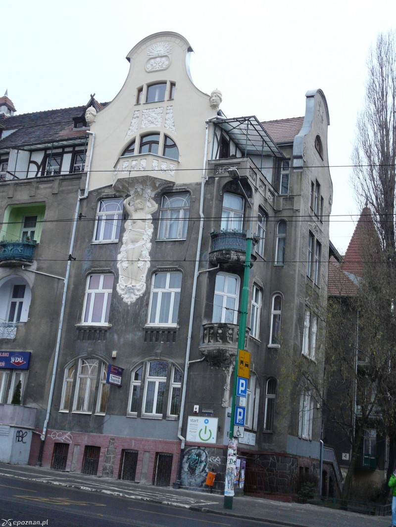 Kobieta w winorośli po remoncie | fot. Mariusz