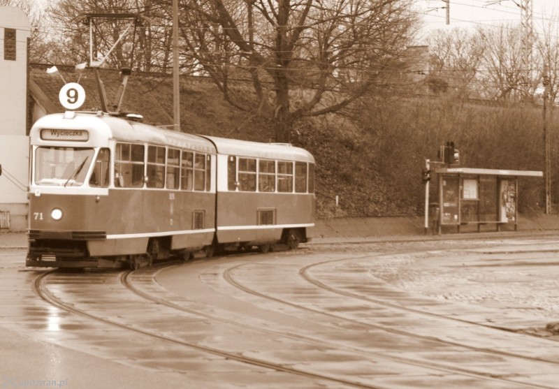 fot. Włodzimierz  Hoppel