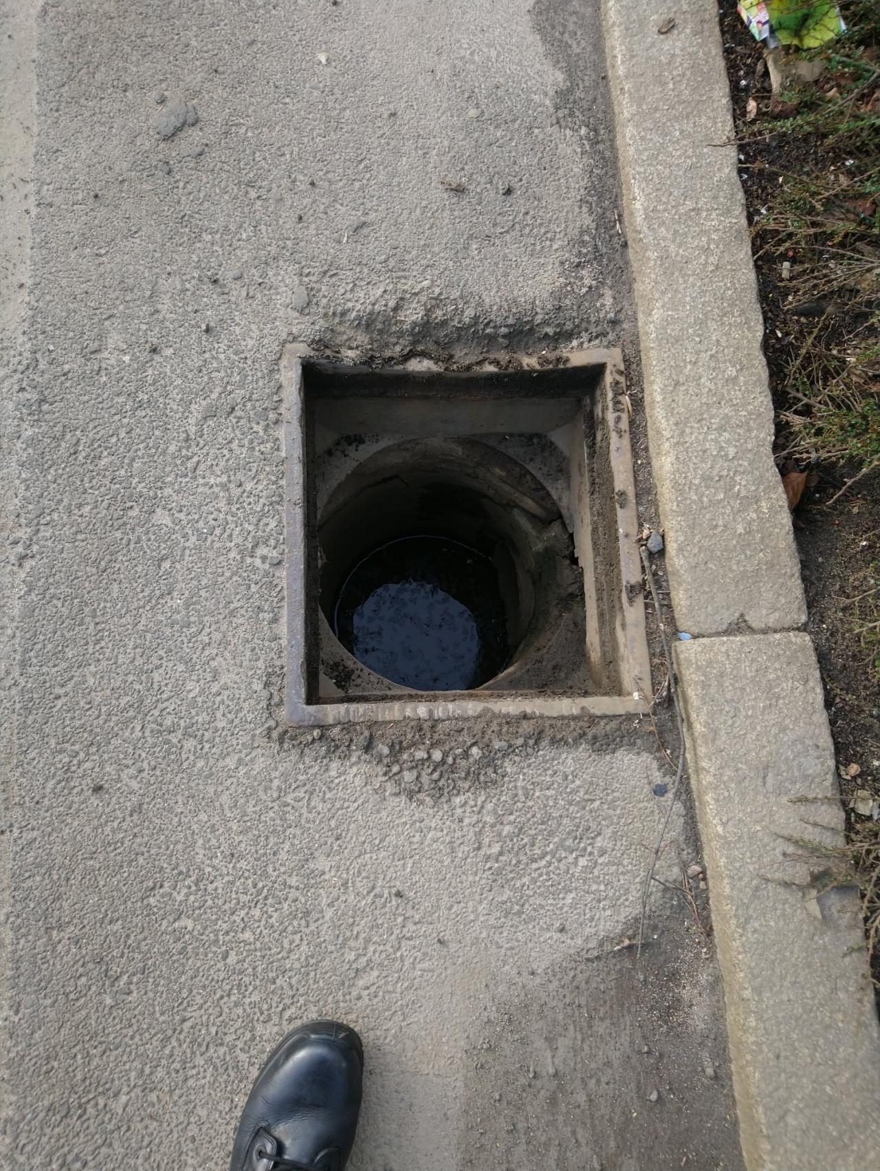 fot. Straż miejska
