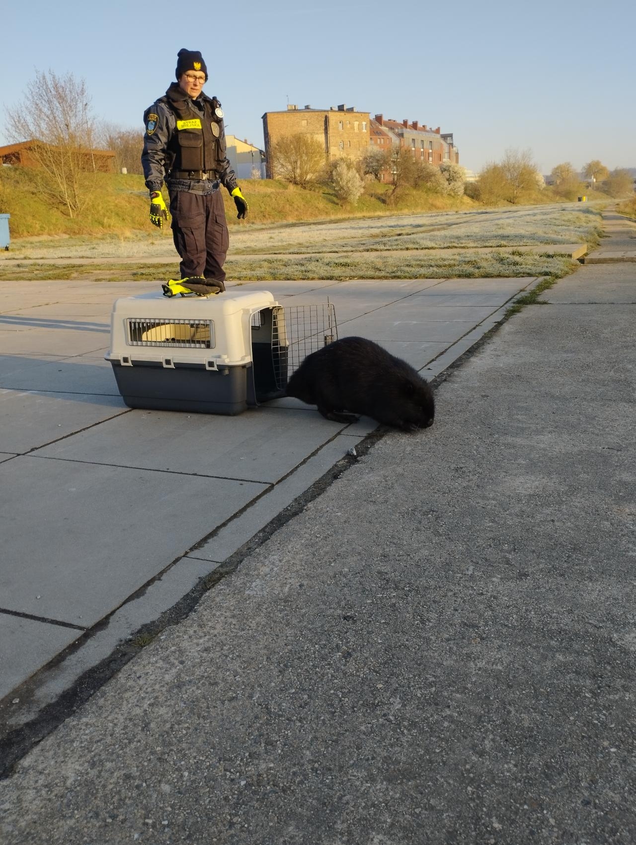 fot. Straż miejska