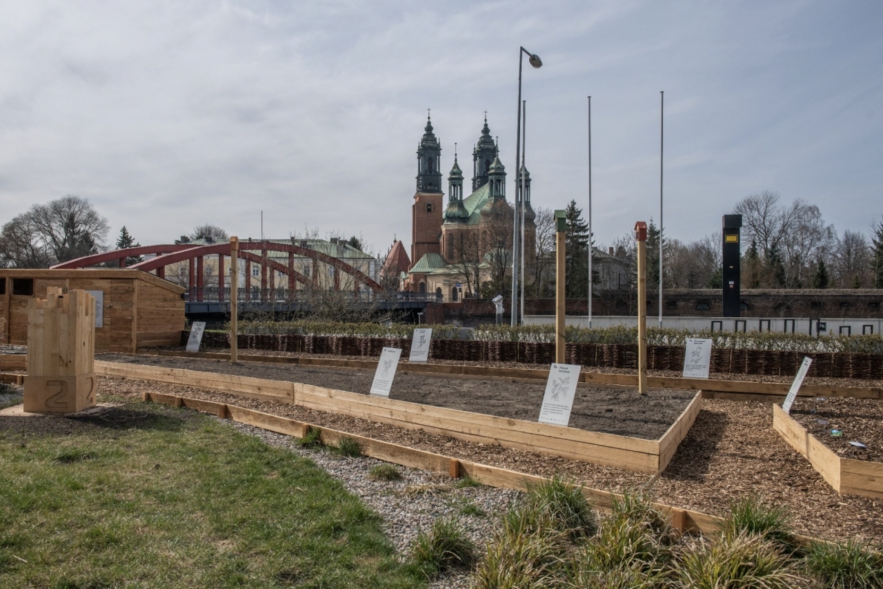 fot. UM Poznań