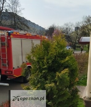 fot. Czytelnik