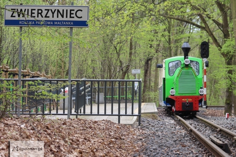 fot. MPK Poznań