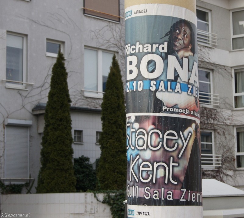 fot. Włodzimierz  Hoppel