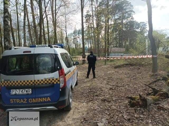 Znaleziony niewybuch z czasów II wojny światowej. | fot. Straż Gminna Gminy Suchy Las