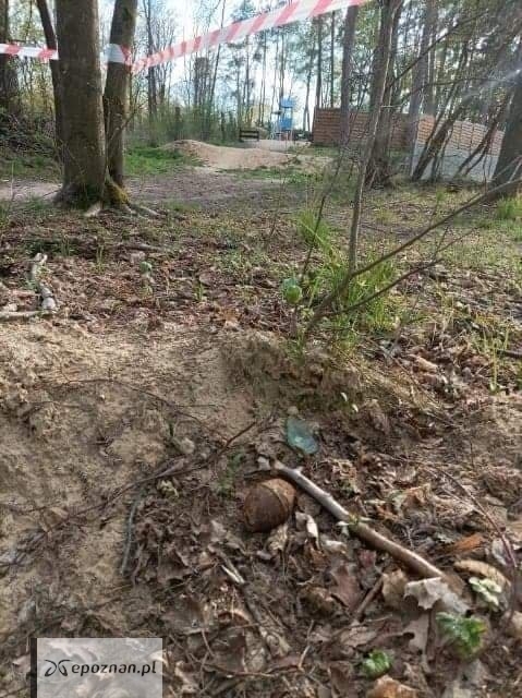 Znaleziony niewybuch z czasów II wojny światowej. | fot. Straż Gminna Gminy Suchy Las