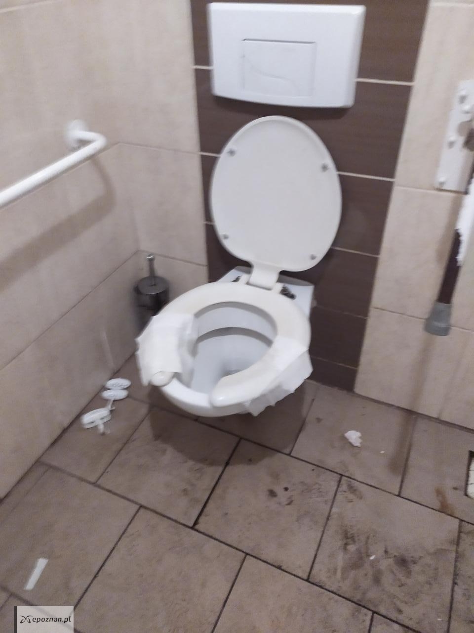 fot. Czytelniczka