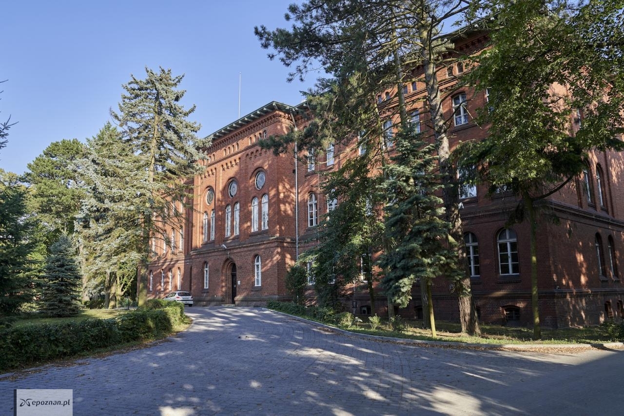 fot. Daria Bielienkov / Szpital Dziekanka